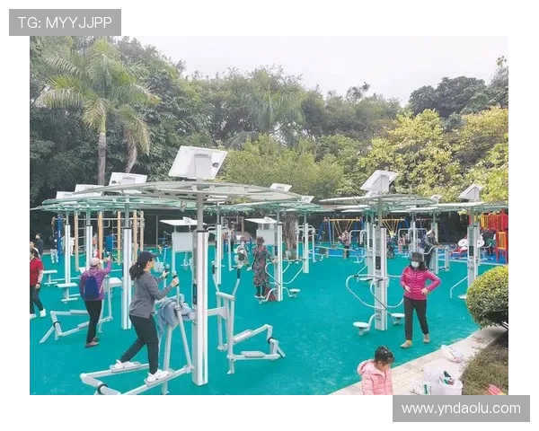 健身与健康生活的完美结合打造强健体魄与活力四射的自己