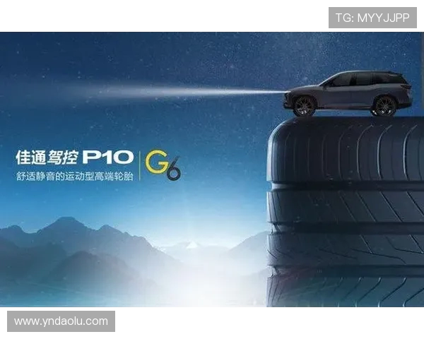 探索全球体育发展趋势与未来赛事改革的创新之路