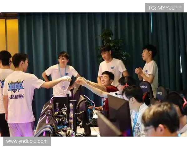 聚焦电竞职业联赛发展探讨数字竞技时代的产业创新与青年文化融合