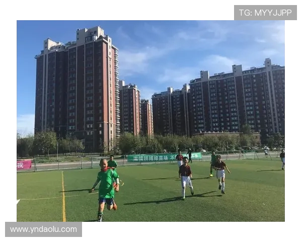 衡阳队足球奋勇拼搏展雄风再创辉煌谱写城市体育新篇章