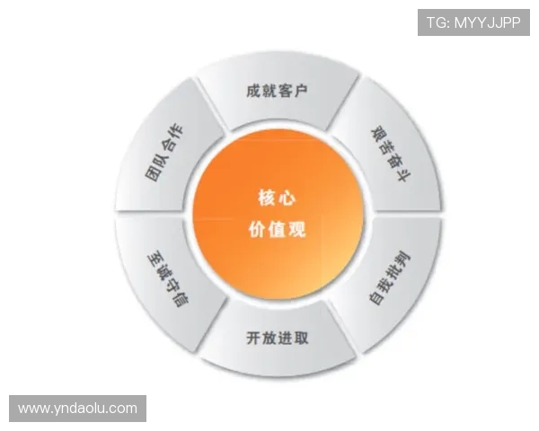 从优秀篮球运动员职业旅程解析坚持拼搏与团队协作力量核心价值 从优秀篮球运动员职业旅程解析坚持拼搏与团队协作力量核心价值