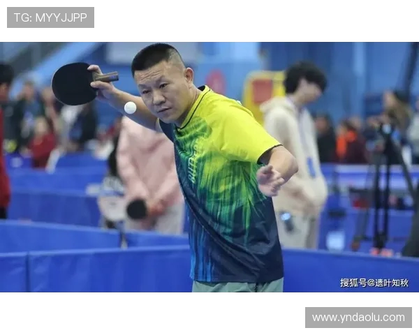 乒乓球推动全民健身热潮助力体育强国建设与青少年全面发展 乒乓球推动全民健身热潮助力体育强国建设与青少年全面发展