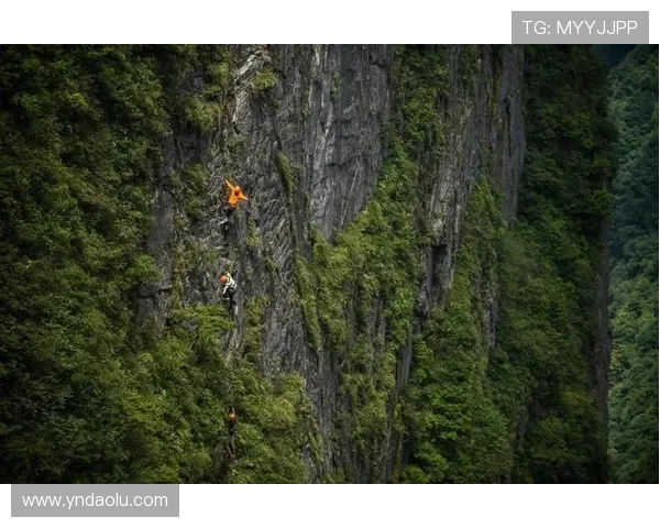 攀岩之路的探索与坚持陈静分享她的成长与挑战