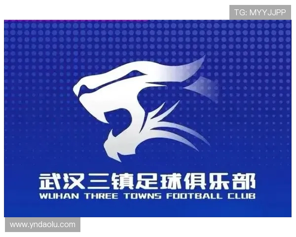 武汉足球队以53分领跑全国锦标赛积分榜展现强劲实力