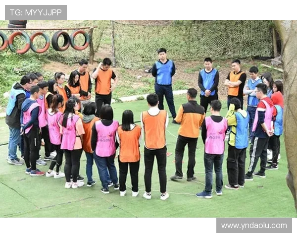 深圳排球队奋勇争先的奥运之路与辉煌成就回顾