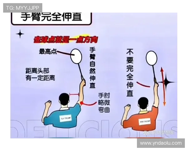 羽毛球战术:南京羽毛球队的反击体系 羽毛球战术:南京羽毛球队的反击体系