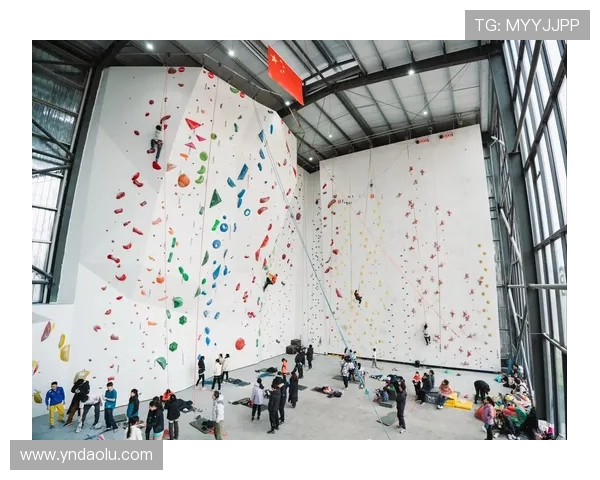 重庆攀岩队与成都攀岩队赛后技术分析与战术对比探讨