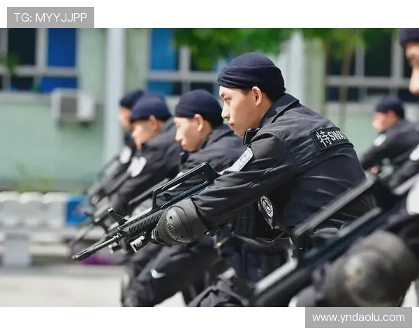 重庆极限运动队战术创新引发热议推动运动发展新风潮